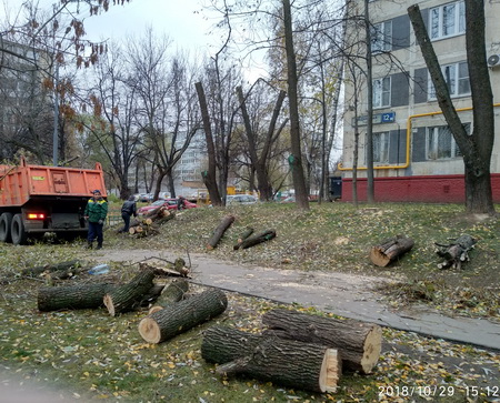 заготовка дров в Москве